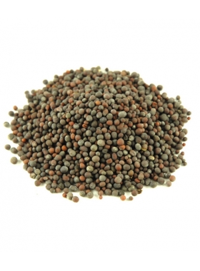 GORCZYCA CZARNA CAŁA 1 KG
