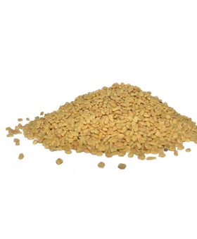 KOZIERADKA NASIONA 1 KG FENUGREEK SEEDS,