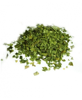 PAPRYKA ZIELONA SŁODKA 1 KG PŁATKI Capsicum lanceolatum Greenm
